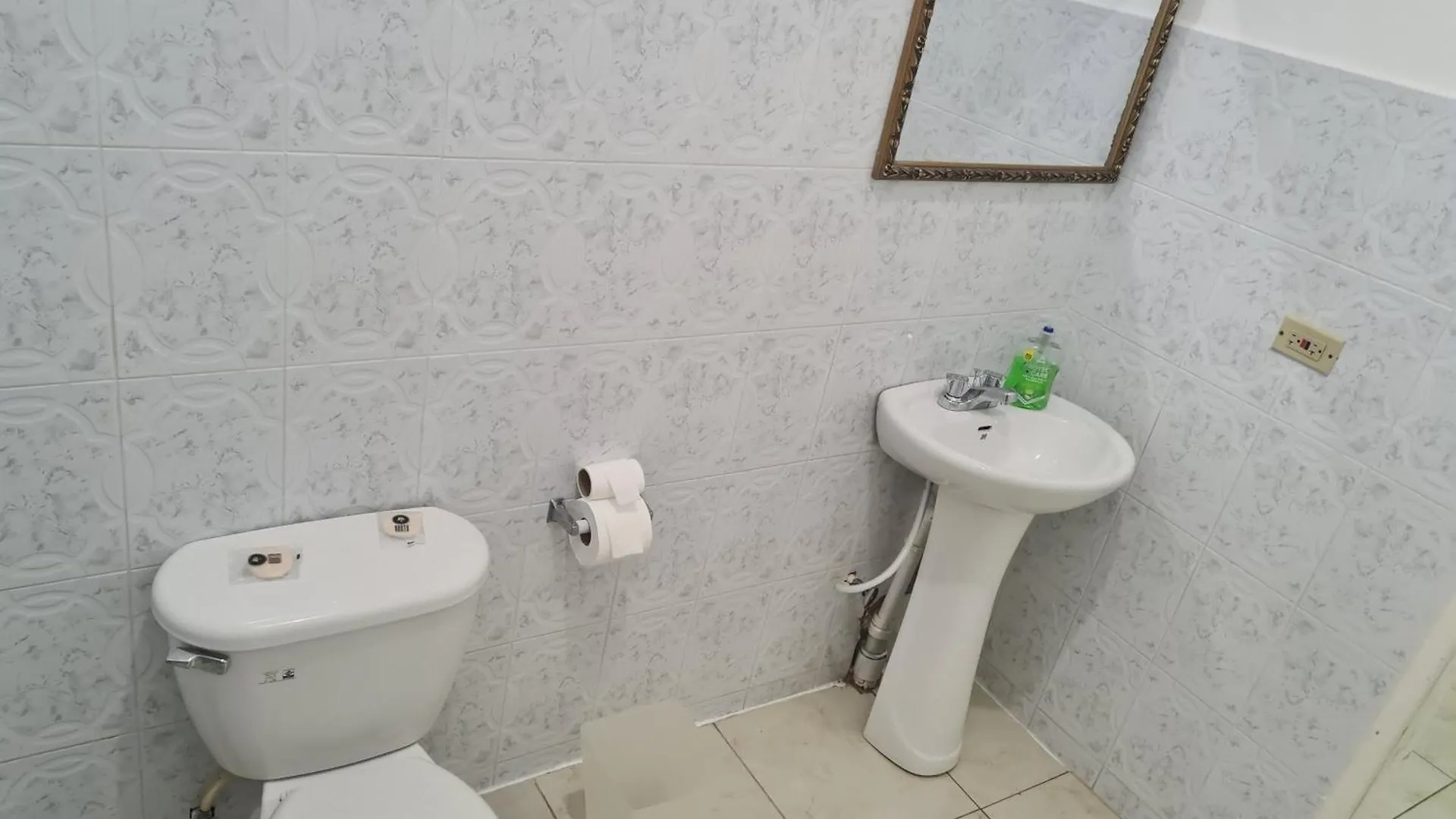 La Rose Apartment Montego Bay